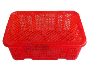 plastic vegetable crate mould