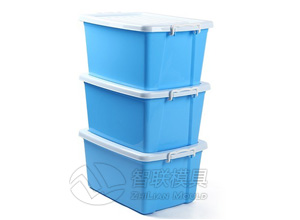 Storage box mould